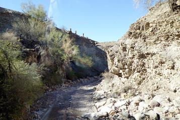 Trail view