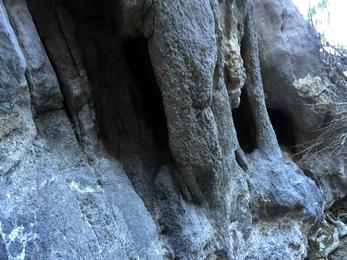 Quartzsite area trail