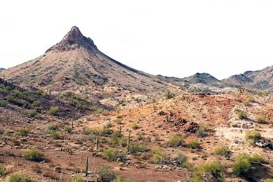 Dos Piachos - Brenda, AZ